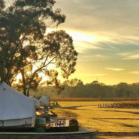Balgownie Estate Bendigo Bed and Breakfast Εξωτερικό φωτογραφία